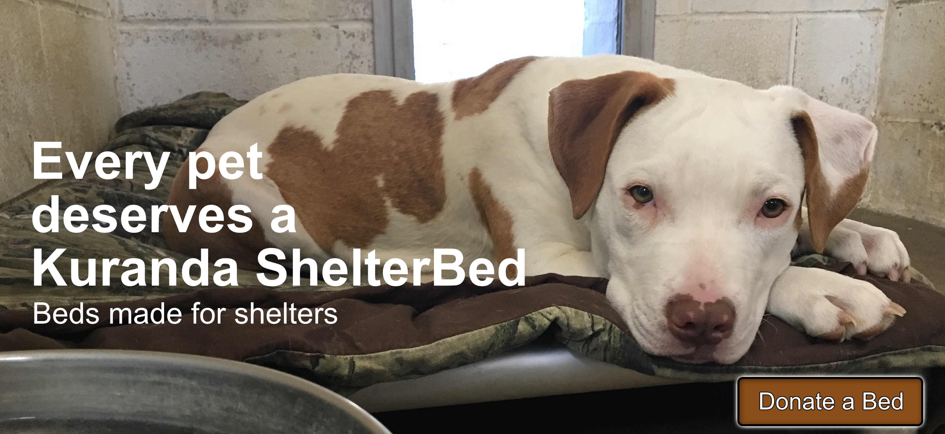 ShelterBeds Homepage Header